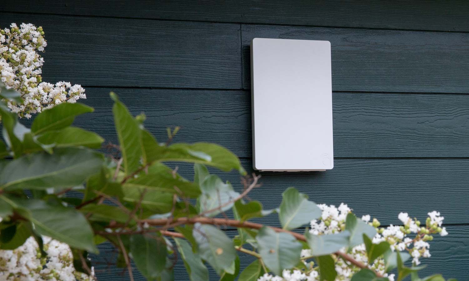 White rectangular outdoor device mounted on a dark green exterior wall partially framed by leaves and white flowers.