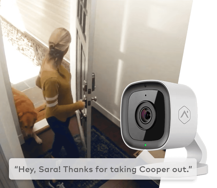 A person captured on Alarm.com’s indoor camera, showing activity detection with a friendly notification about taking care of a pet.