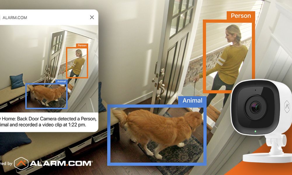 Smart security camera interface displaying color-coded detection boxes for a person and an animal at a home's back door.