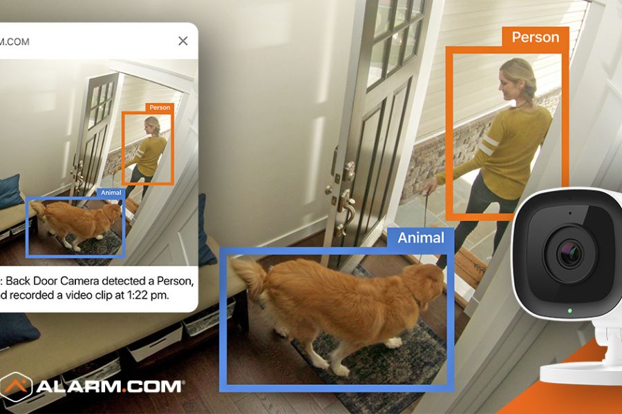 Smart security camera interface displaying color-coded detection boxes for a person and an animal at a home's back door.